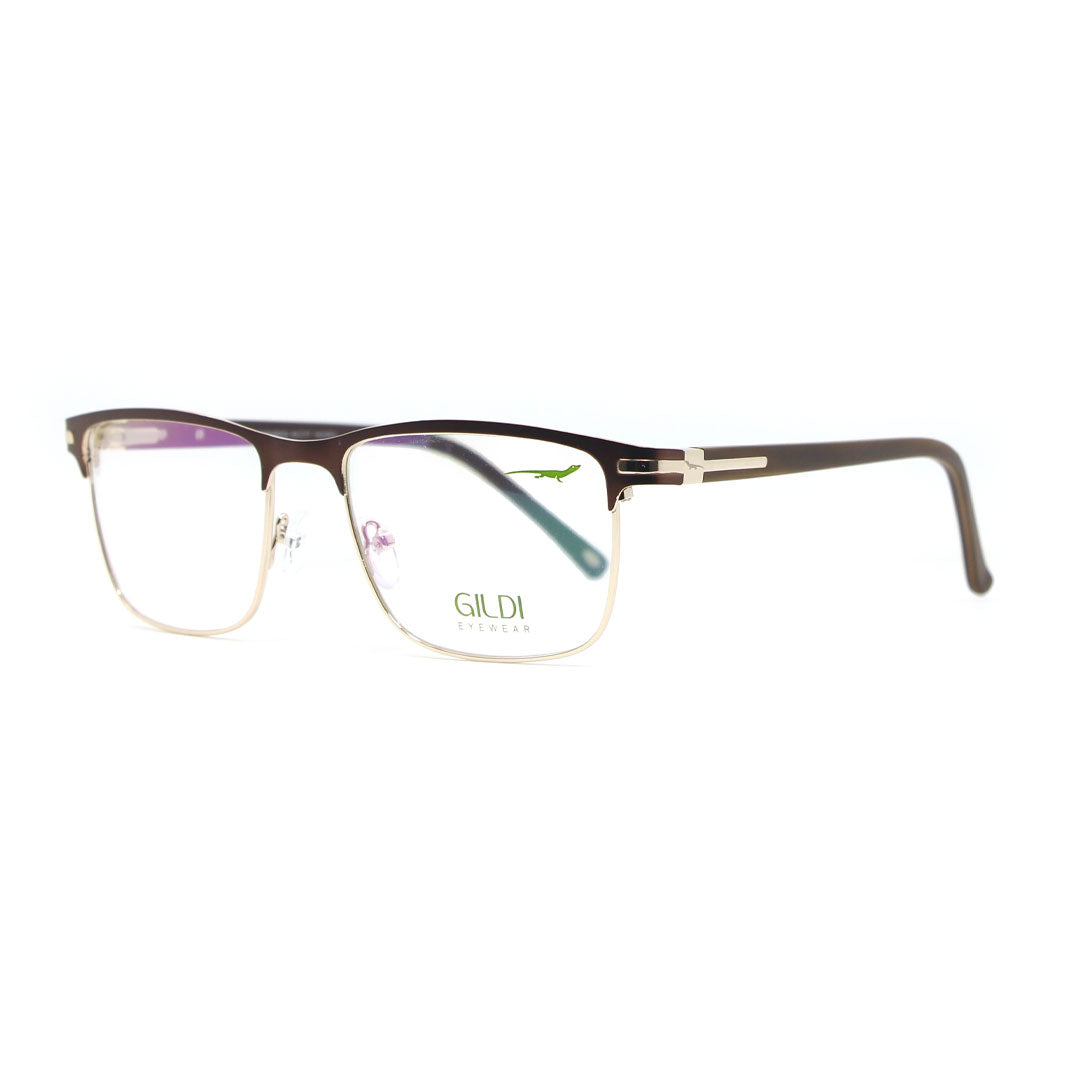 Ficus - 54 17 140 (G260482)